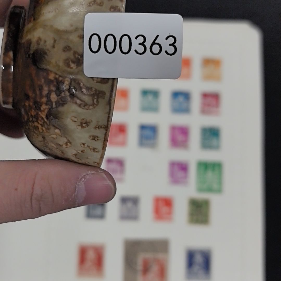 盖碗哦哦哦哦哦哦哦哦欧欧欧