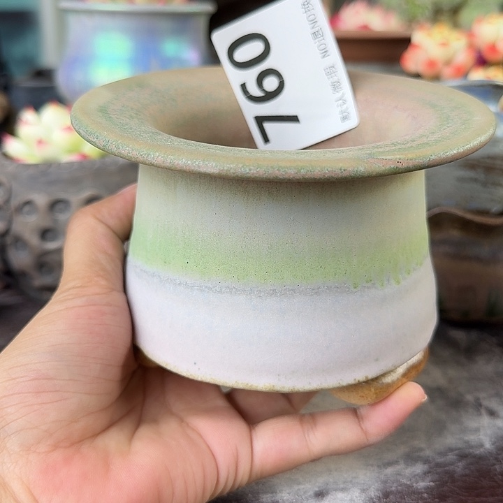 重庆小燕子欢迎大家760