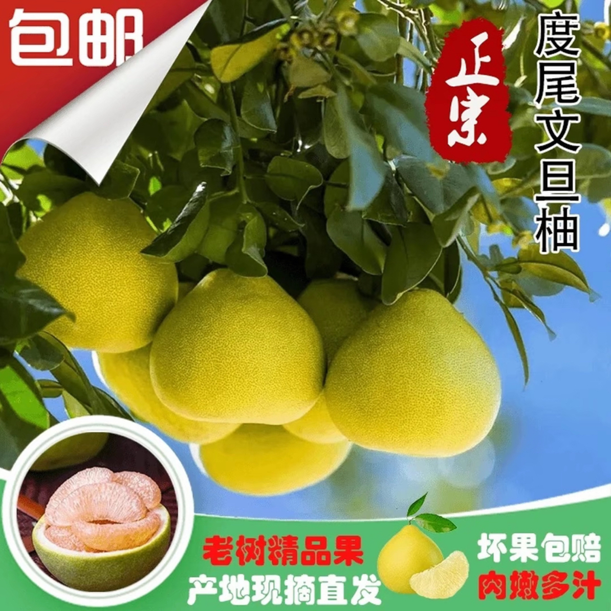 正宗福建仙游度尾文旦柚子酸甜可口新鲜现摘时令水果