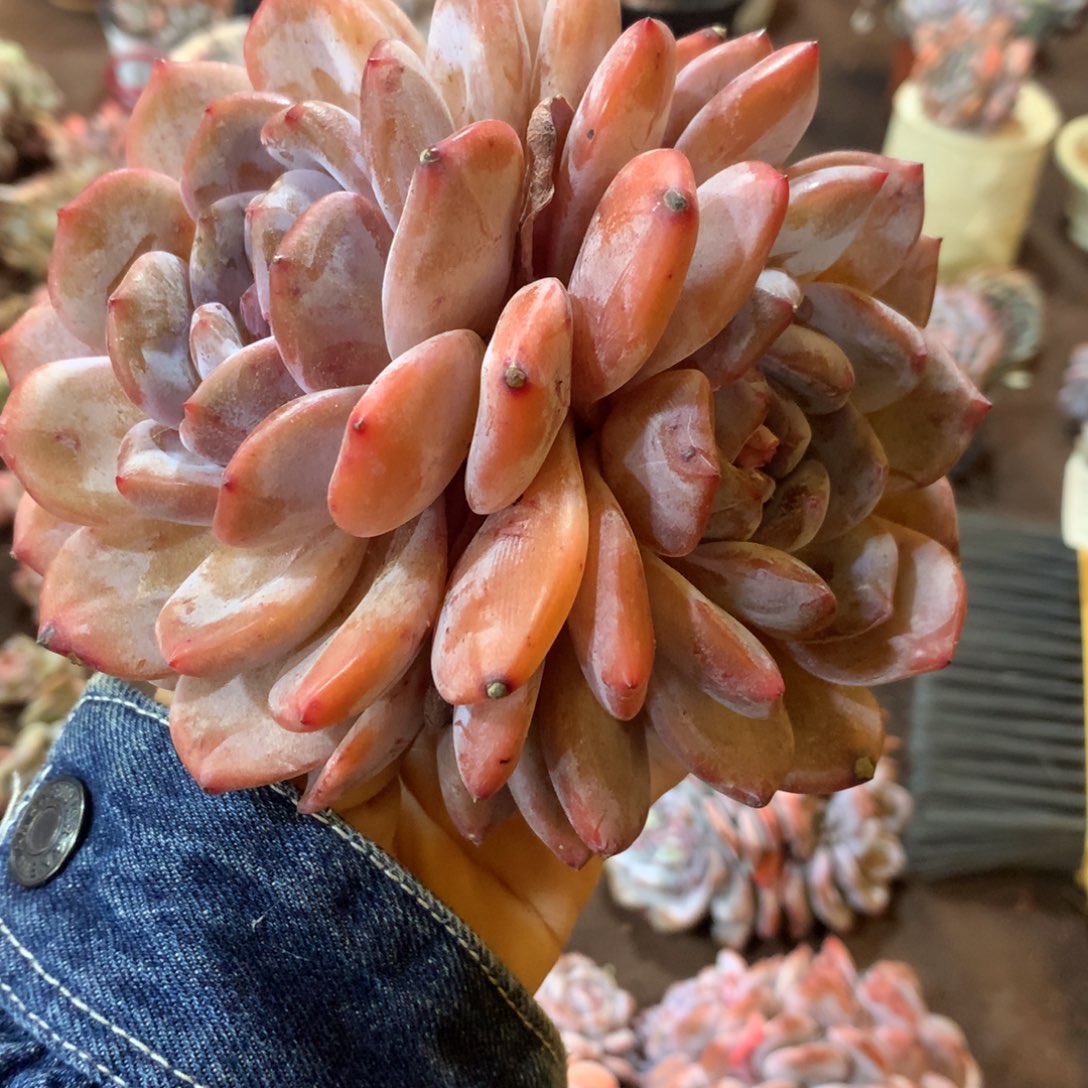 哈哈哈哈哈哈哈哈哈