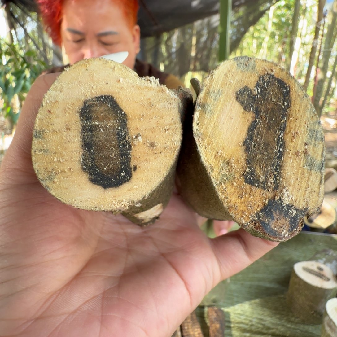 线香奇楠沉香原木