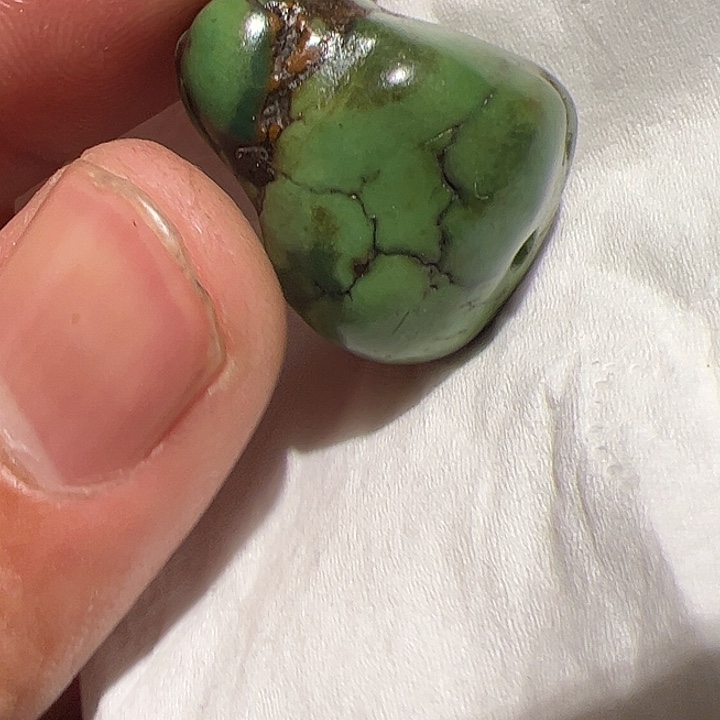 香榧木你的时候你