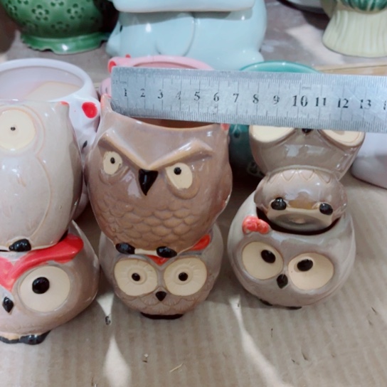 红陶111111111111111111111