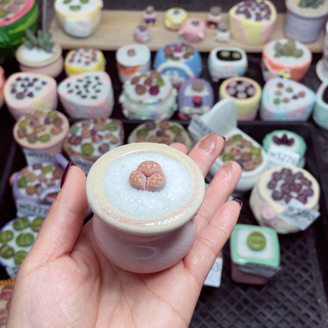 w5286 -零下地区拍保温箱-15支持寄养