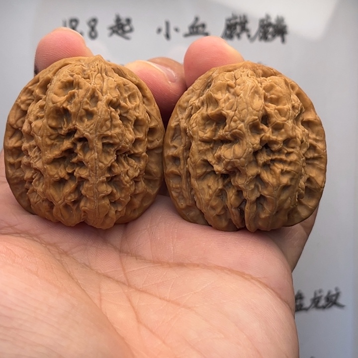 吊坠文玩核桃242将军膀41尺