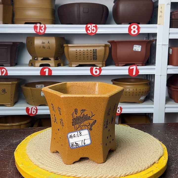 花盆紫砂你在一起