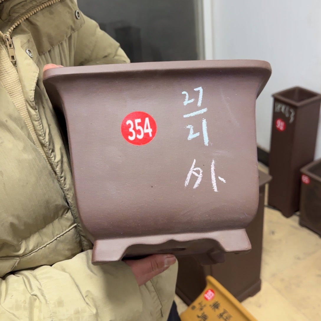 紫砂花盆呜呜呜呜