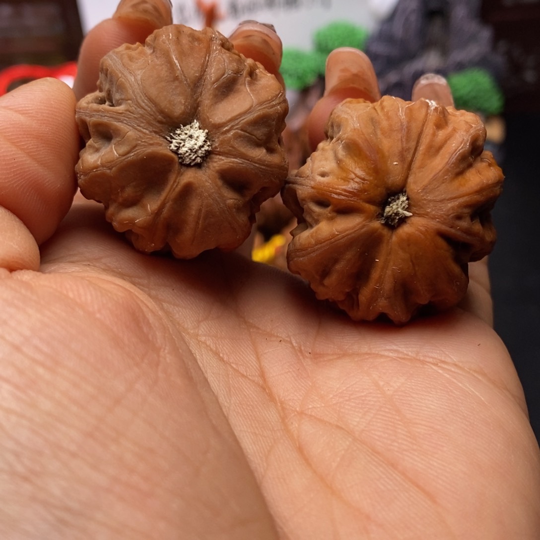 文玩核桃把件核桃5