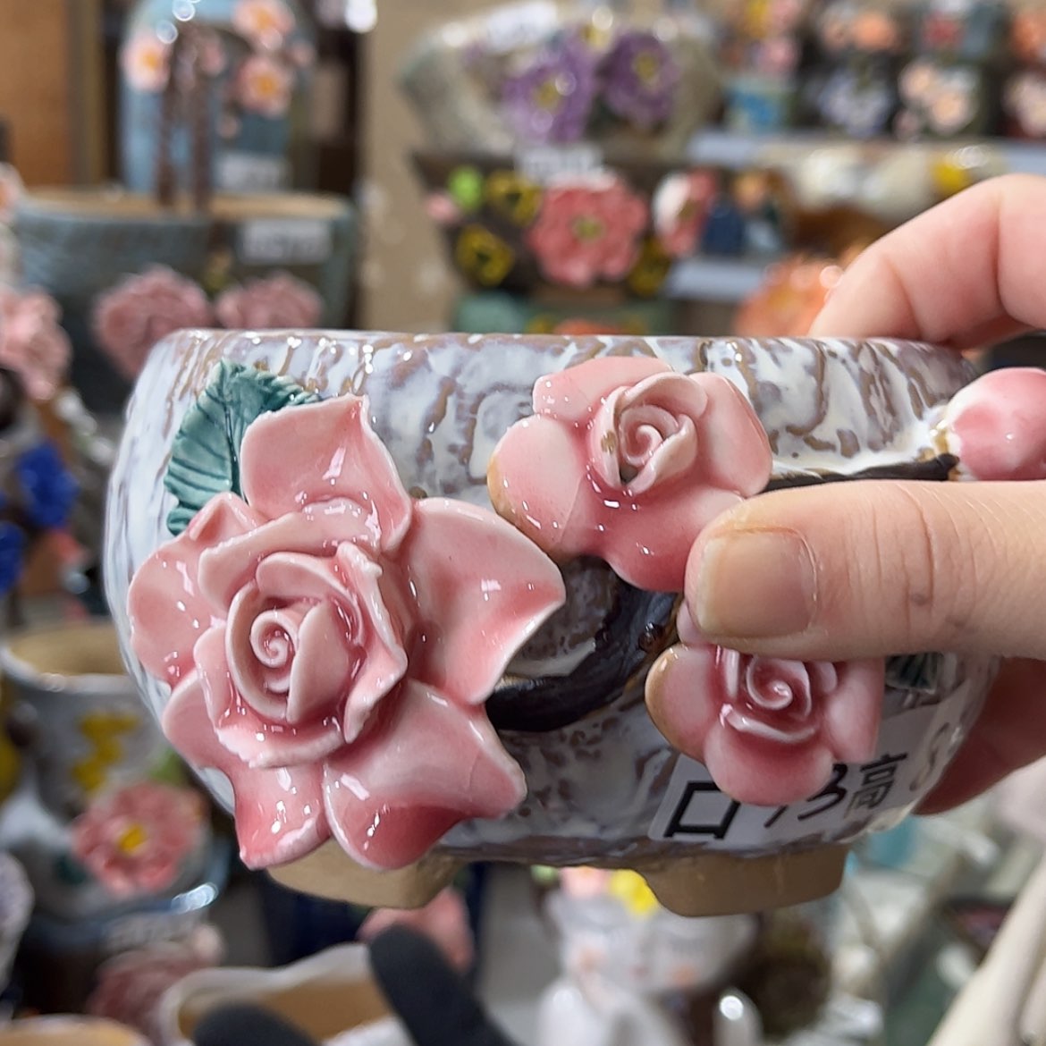 【闪购商品】红陶福利