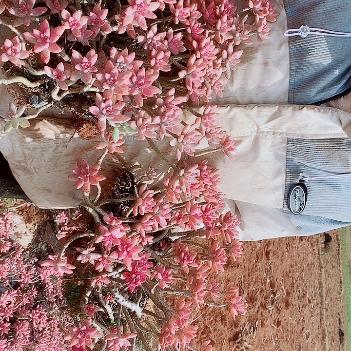 白***林白桦琳的2颗秋丽一物一拍