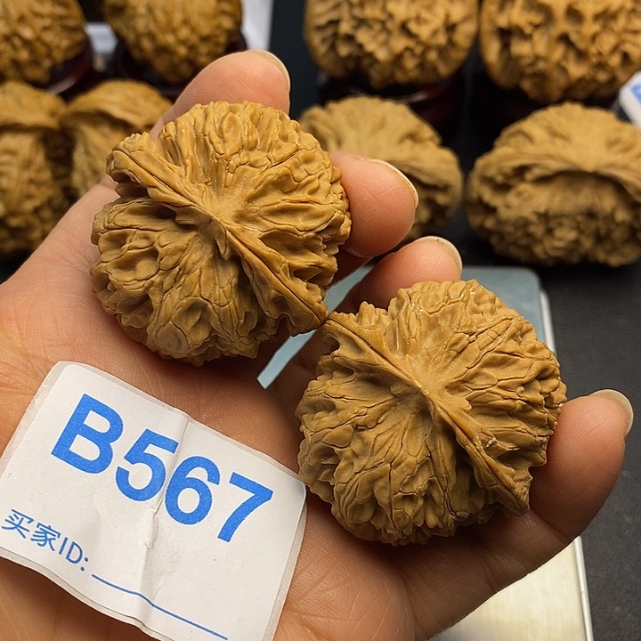 核桃苹果园4.1，0000