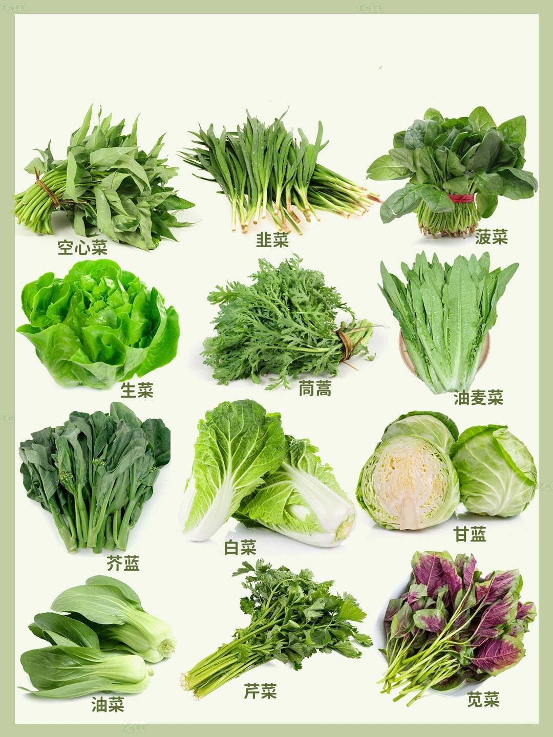 农家时令蔬菜 村民自种高山蔬菜 现摘现发 叶菜类 助农