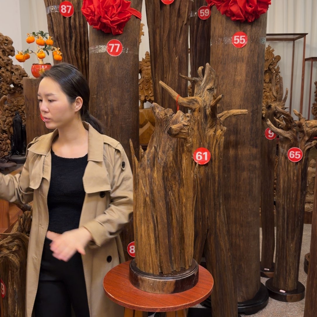 三***鼠沉香材料沉香原材料