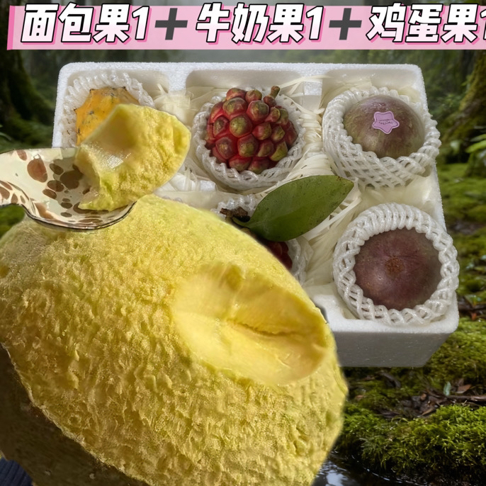 稀有热带水果礼盒面包果燕窝果鸡蛋果人心果混搭畅享热带风情