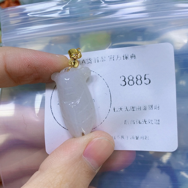 翡翠吊坠(赠链)未镶嵌翡翠