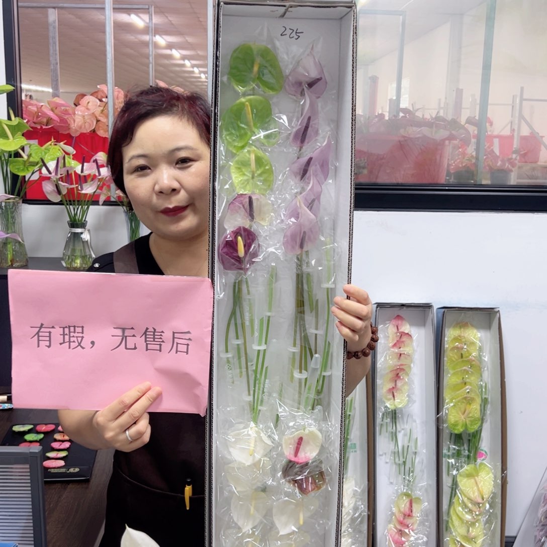 完全开放混色20枝微瑕无售后225