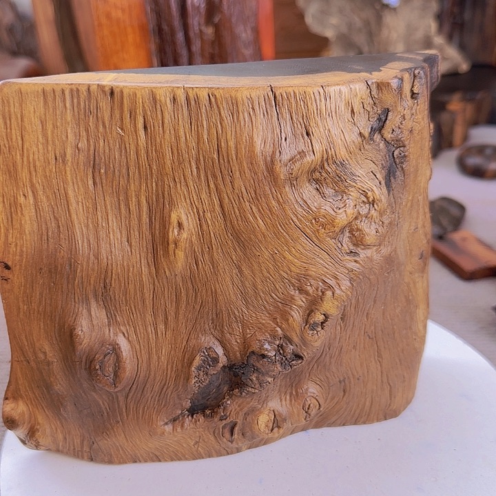 大果紫檀（缅甸花梨）早**因