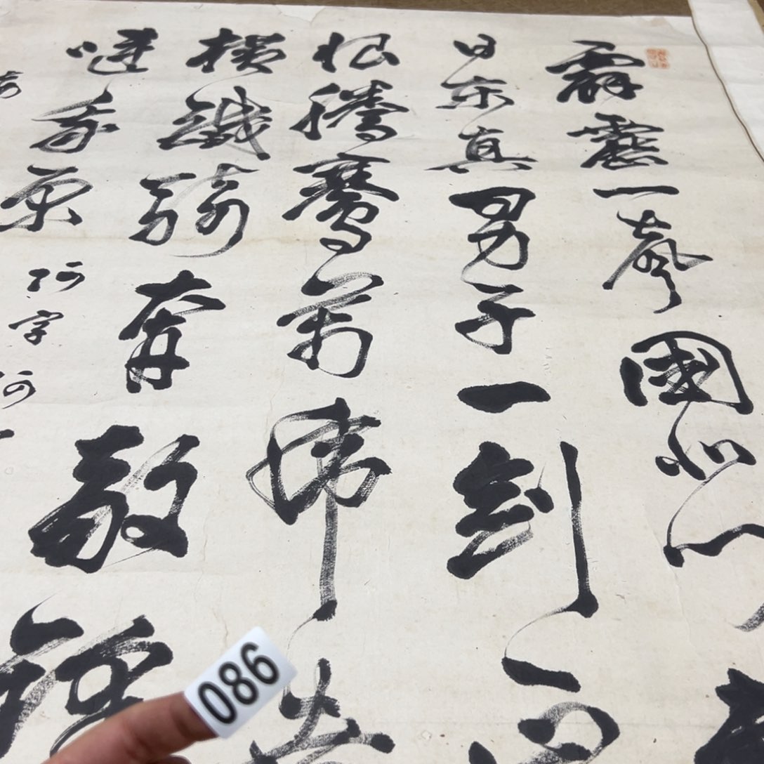 步***场哈哈哈哈我的086