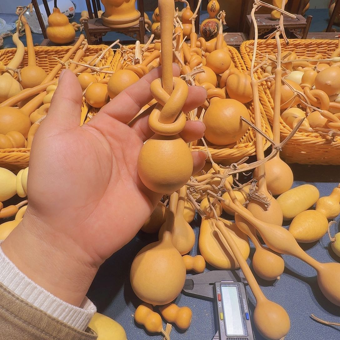 输***赢葫芦科动物大白腿鸟类