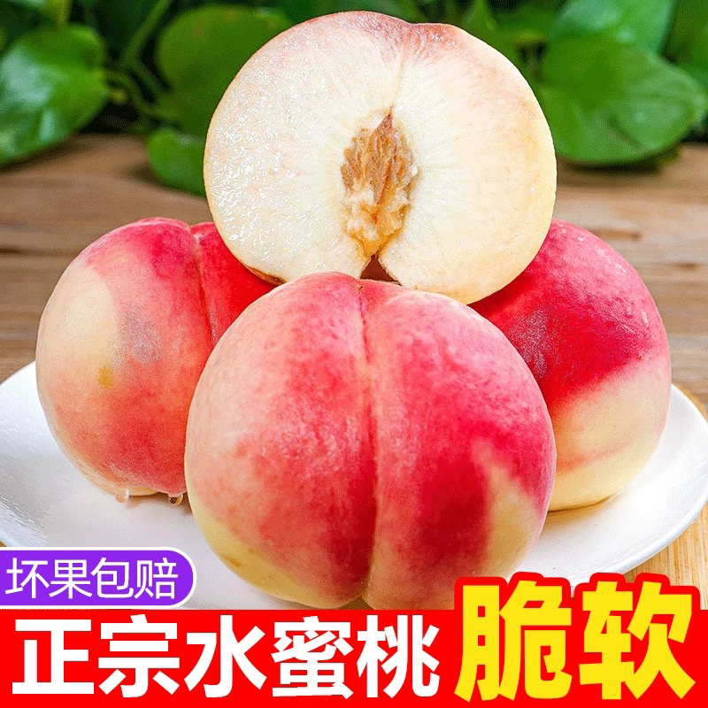 ZB山西水蜜桃新鲜现摘毛桃孕妇当季水果应季脆甜大桃子5斤包邮