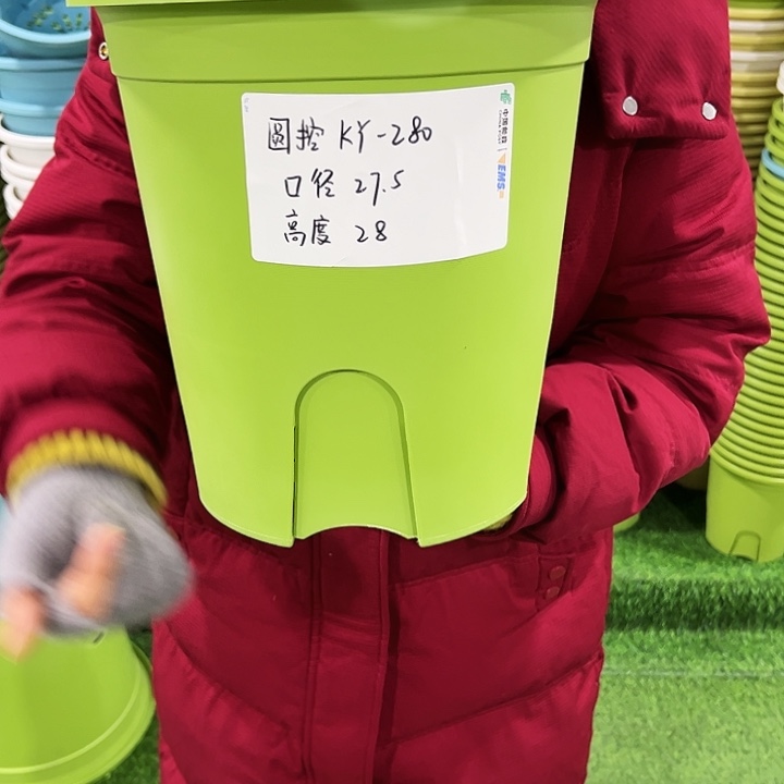 正品圆控口27高28果绿色无托5只