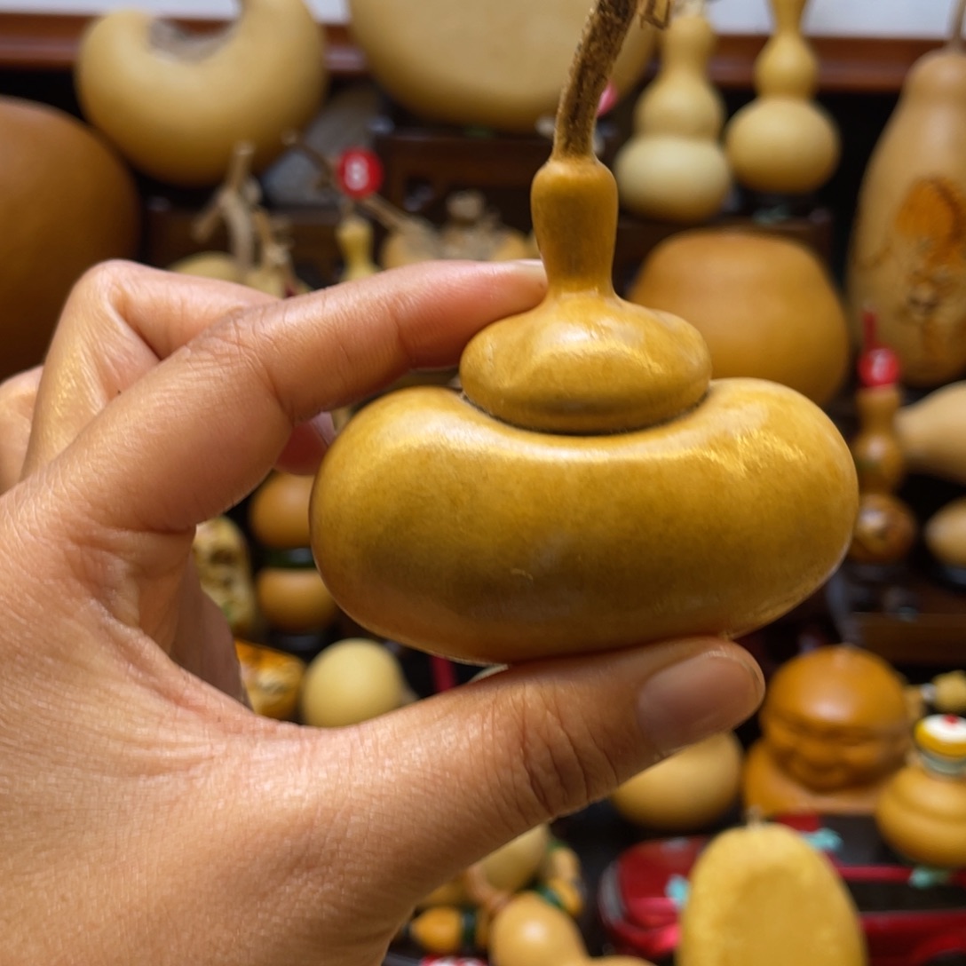 祖****蛋葫芦等经济林木的生长繁殖方式为主要