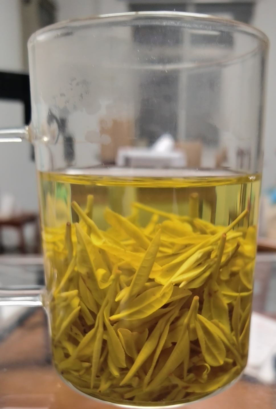 新茶雨前芽豆香味浓香耐泡甄选口粮茶