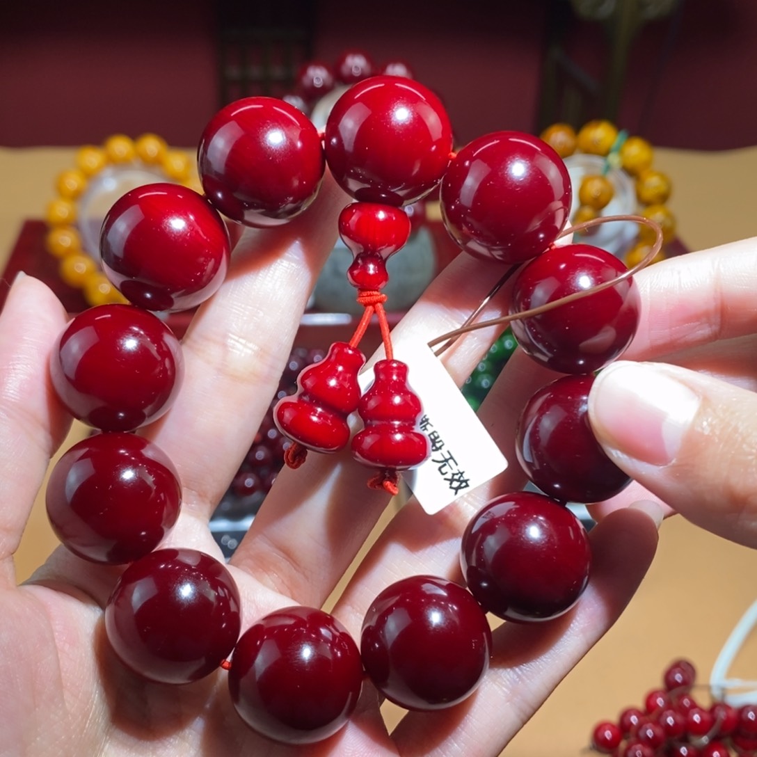 贝壳杉2.0 帝王血龙木千年高货