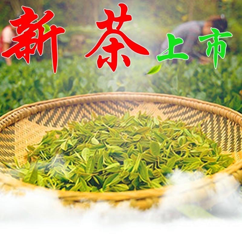 2025年【开园头采高端山茶】日照绿茶纯手工制作清香型豌豆香味十足