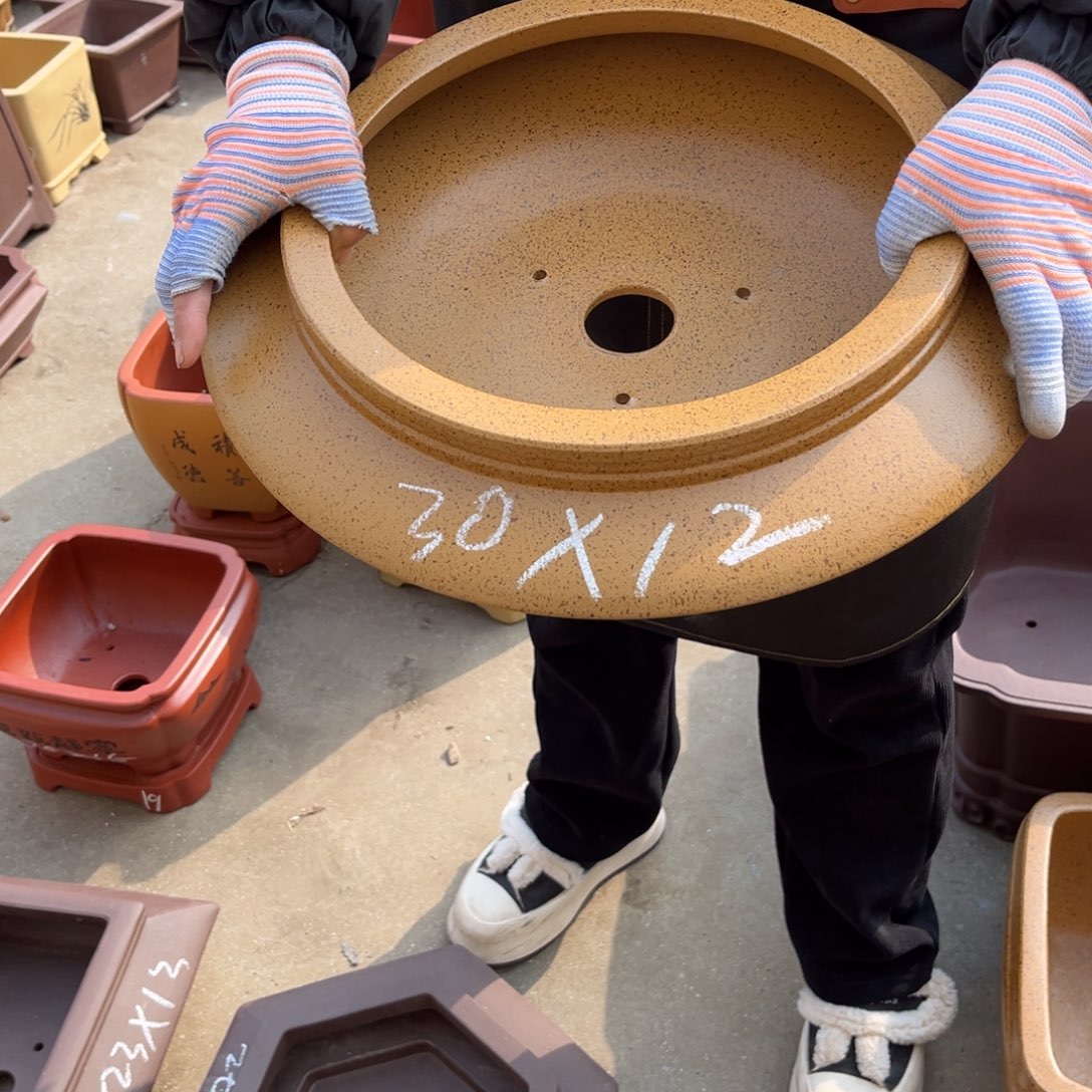 紫砂花盆盆景艺术