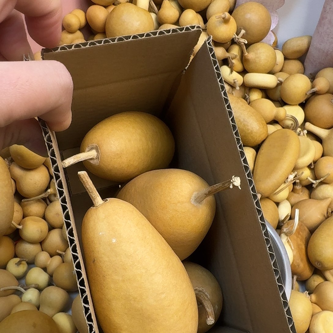 橄***树直播间葫芦专属链接4