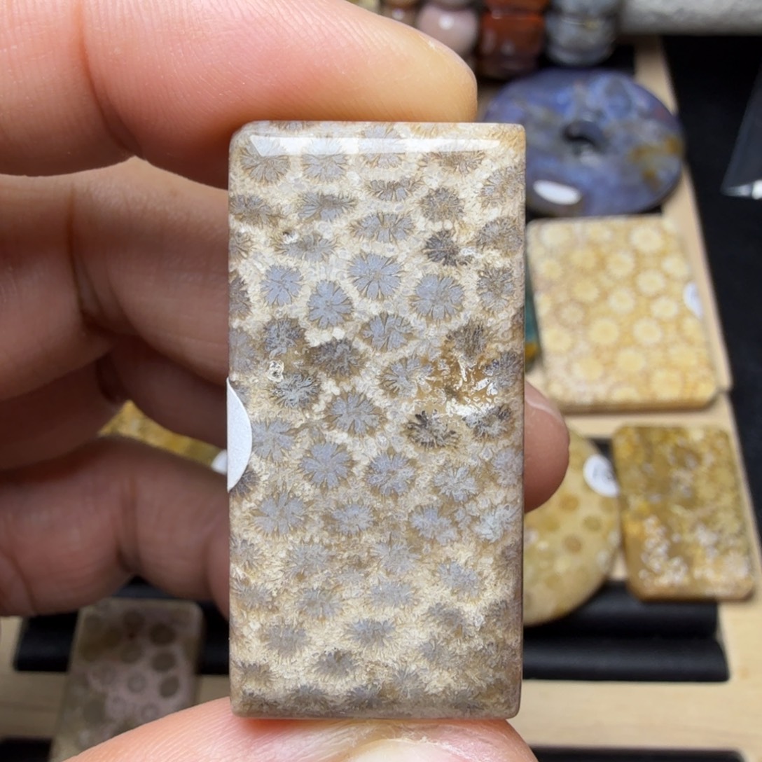 硅化玉未镶嵌纯天然色有机玉石保真色无珠无绳不退换