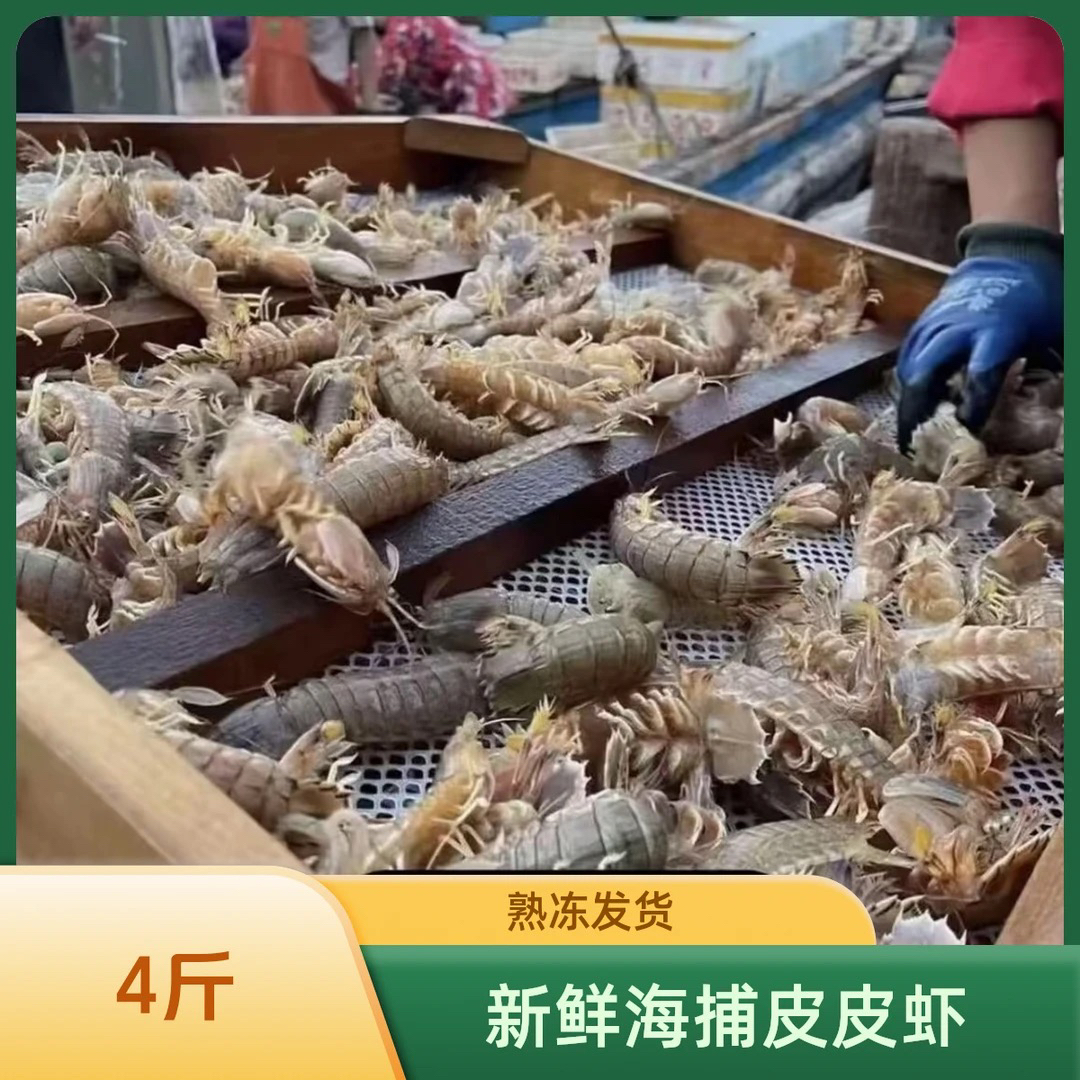 L（到手4斤）海捕皮皮虾/虾蛄爬/虾爬子熟冻发货