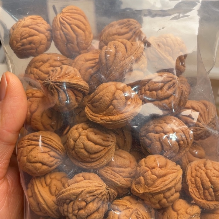 桃核吊坠霸王龙36颗原装籽