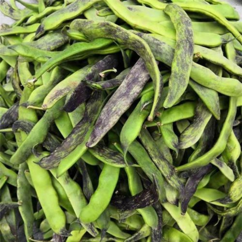 东北大马掌子豆角现摘现发，发货后不退款（到货当天取货，过天不赔）