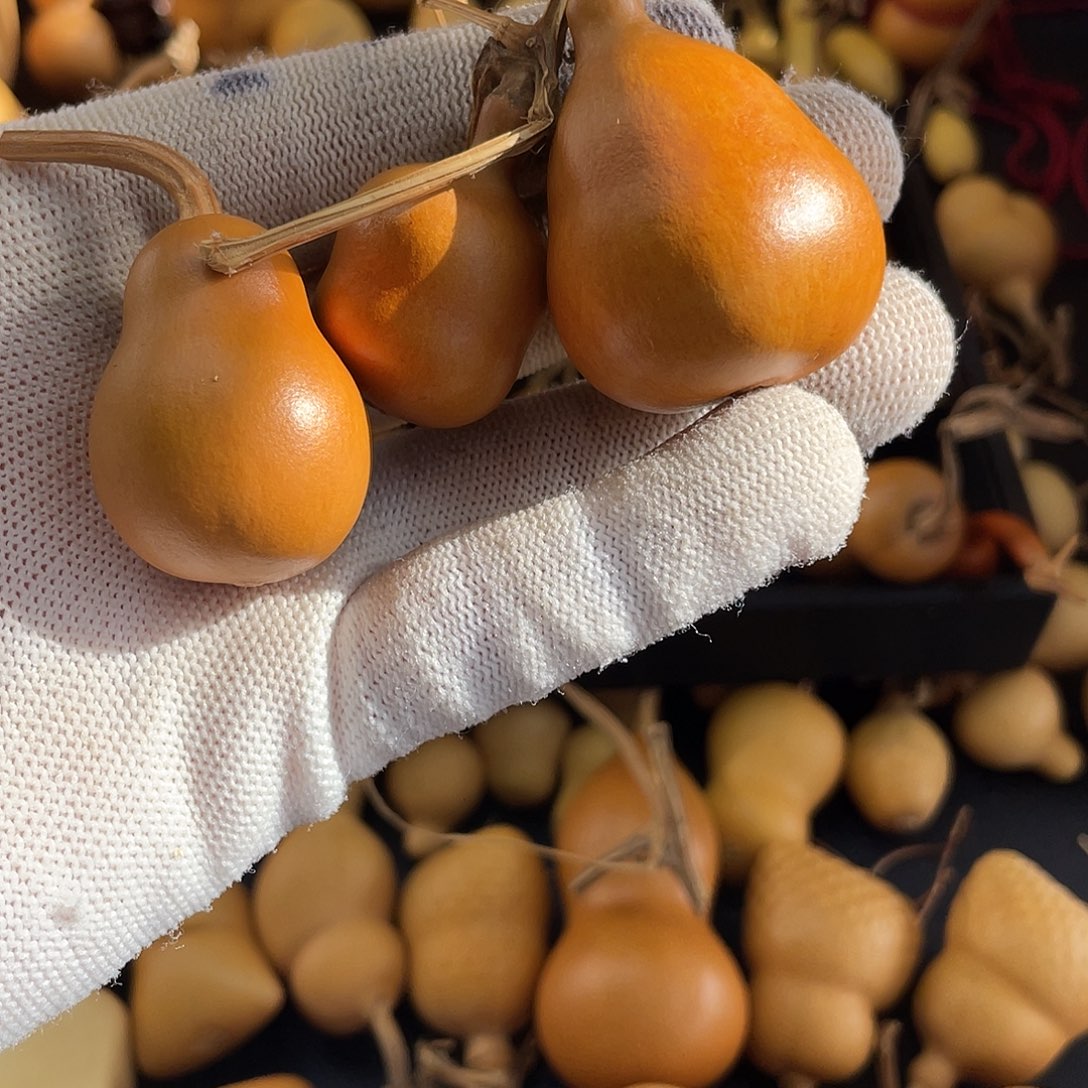 I***n大叶紫檀（黑酸枝木类）