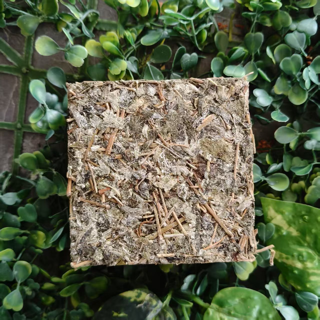 雨腾妹夫 X壹号”X 十二结 十四L 十二S ”200g/砖 (6月20）