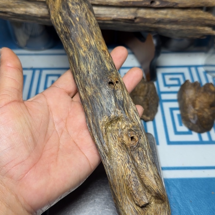 香粉绿奇紫罗兰树心虫漏90克