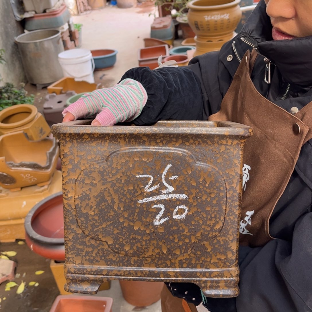 花盆紫砂盆景艺术