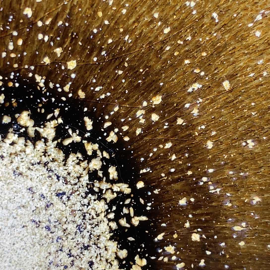 茶盏建盏主人杯一只