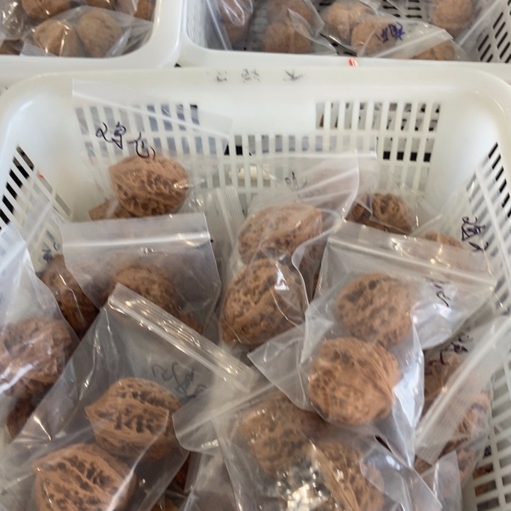 吊坠文玩核桃鸡心瑕疵