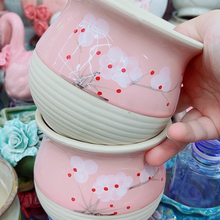 多肉植物陶瓷花盆