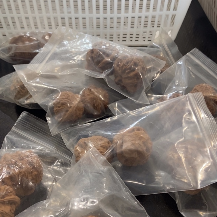 吊坠文玩核桃指****花一筐10对