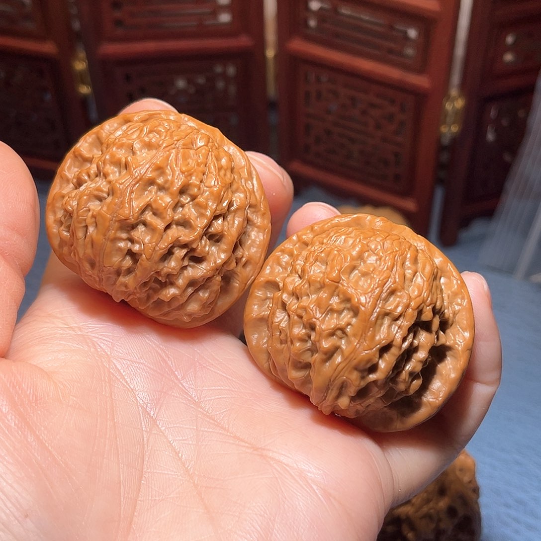 45金麒麟……精品……走色红