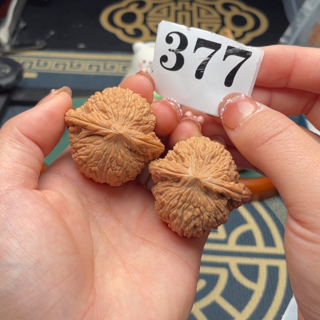 桃核把件41全品泥鳅背377号