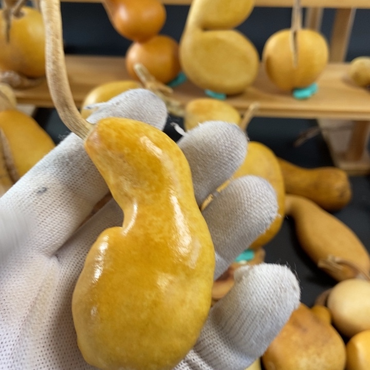 一***布葫芦葫芦真的