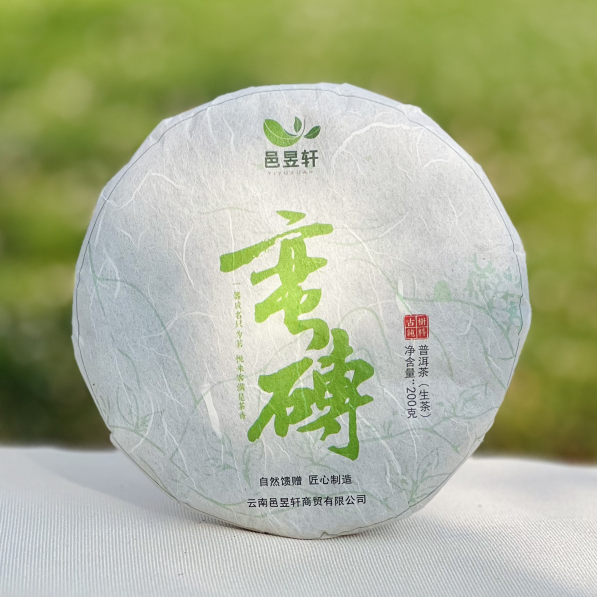 2023蛮砖古树头春头采普洱生茶 古六大茶山 名山名寨山头纯料200g