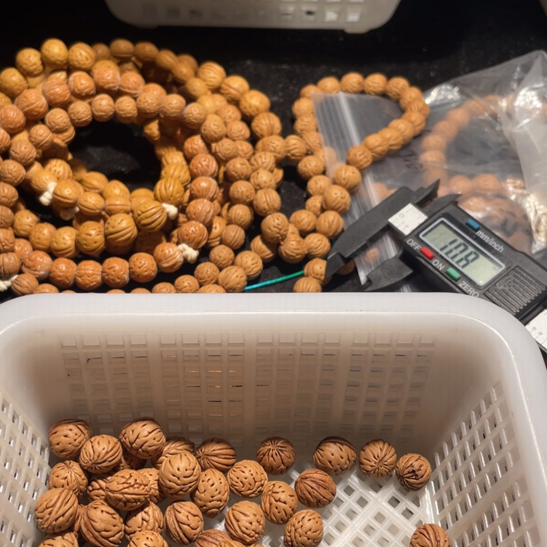 【闪购商品】❦****伟散子批发20米