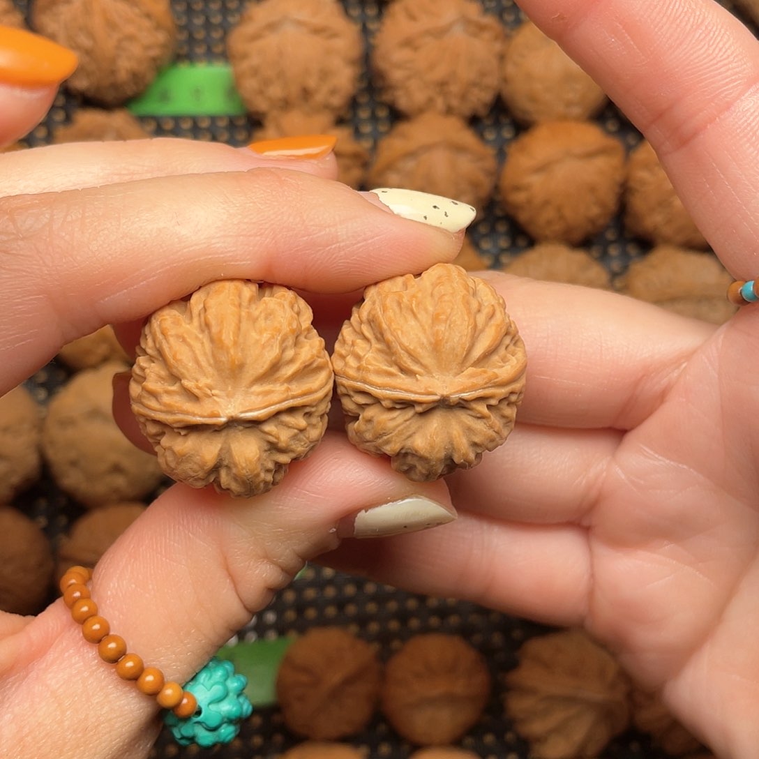 文玩核桃吊坠27尺全品矮桩粗筋元宝0006