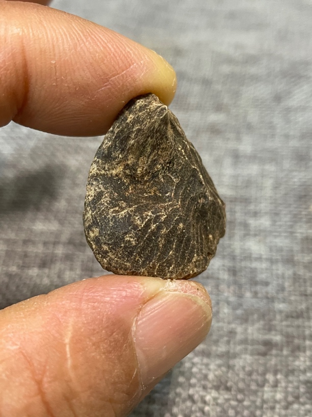沉香尖峰壳子1.86克，包在老树干里的深层老料，清香气足持久力强。